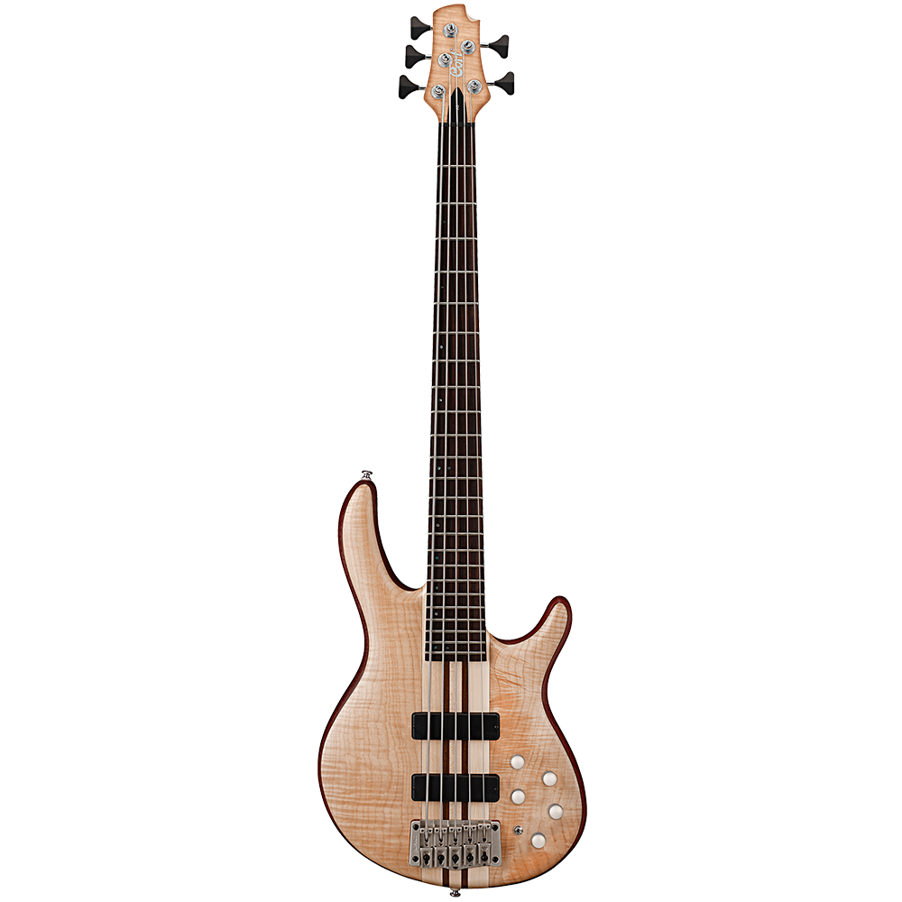 Cort a5 deals bass price