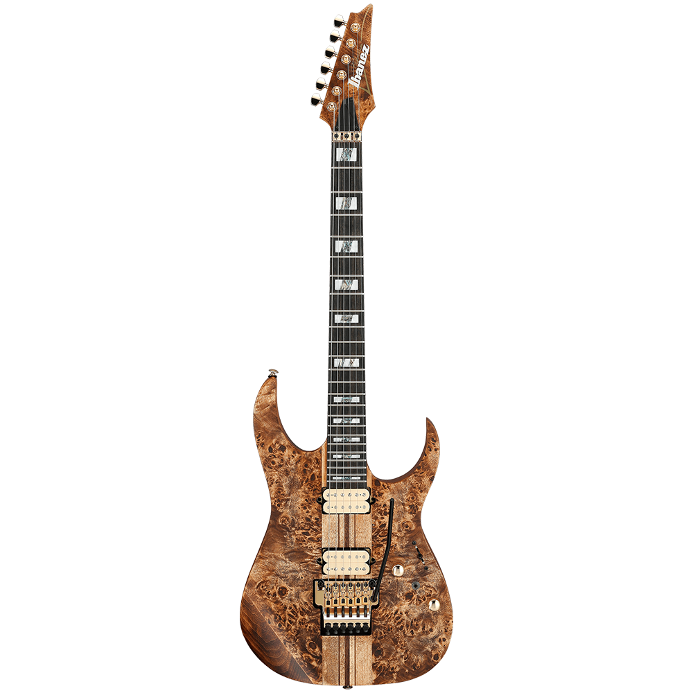 Ibanez RG Series RGT1220PB ABS Electric Guitar